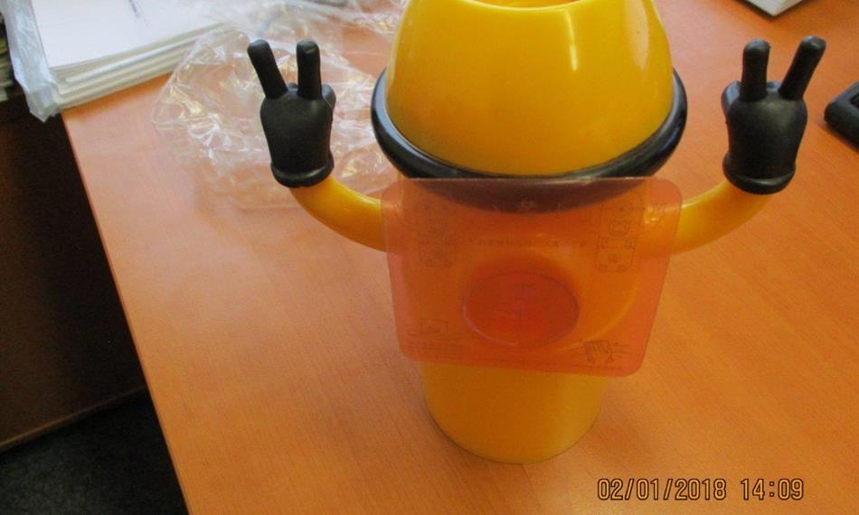 2018-1-11-1332Minions 7.jpg